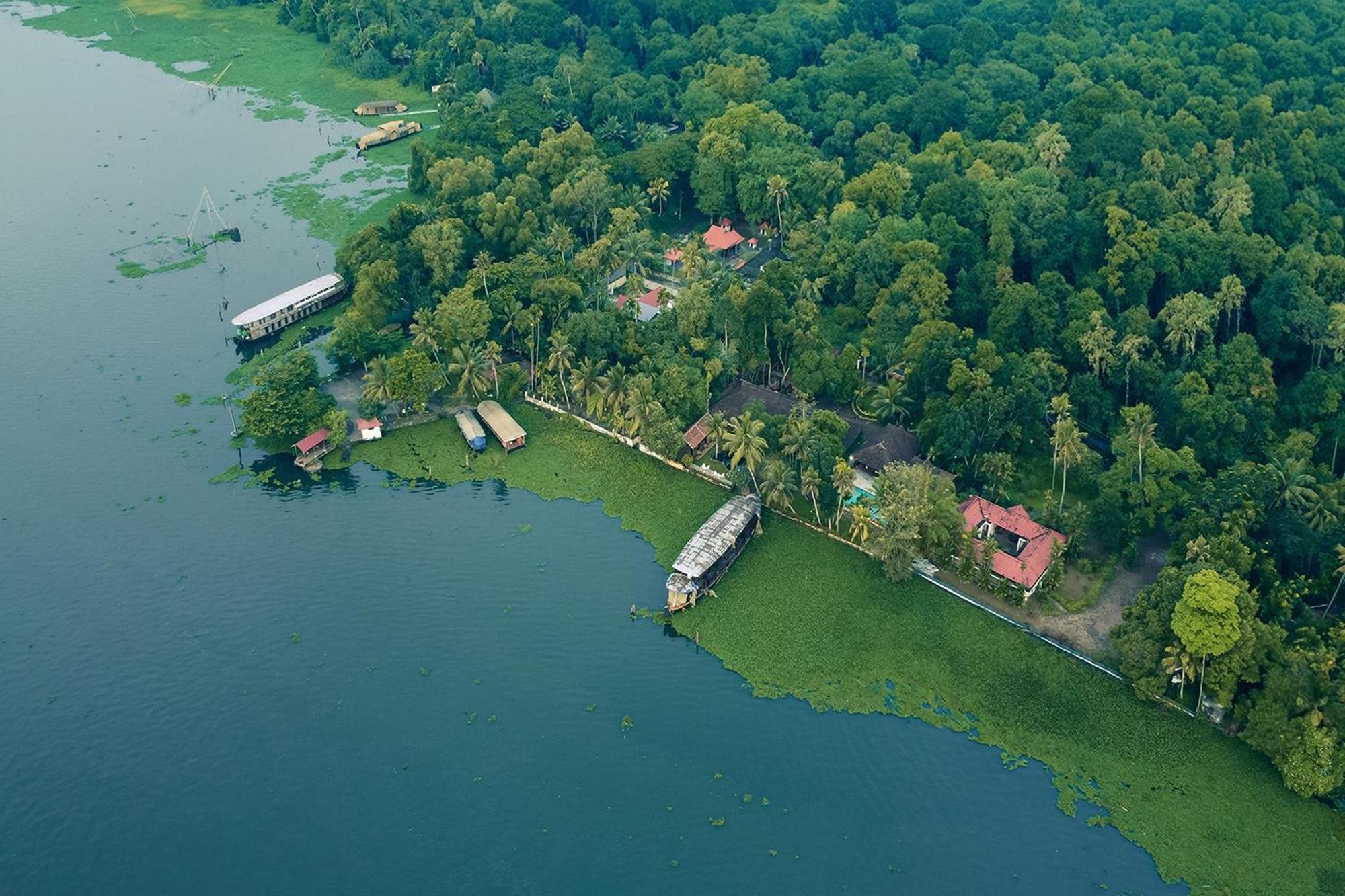 Blusalzz Villa - Muhamma, Alleppey - Kerala Alappuzha Buitenkant foto